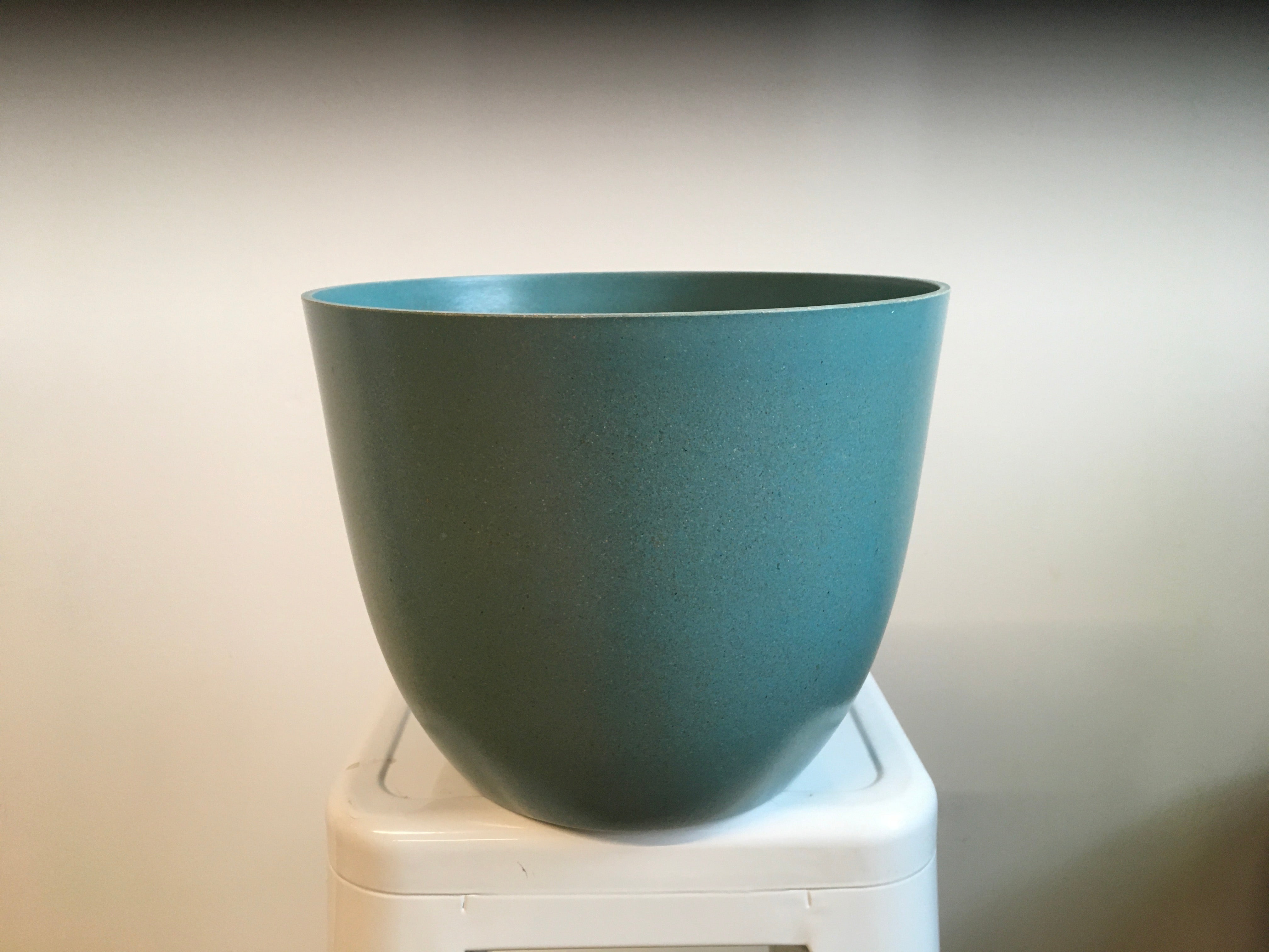Ecoforms 10" Bowl