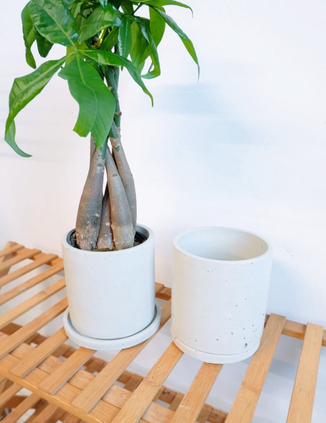 Lotus Street Pots
