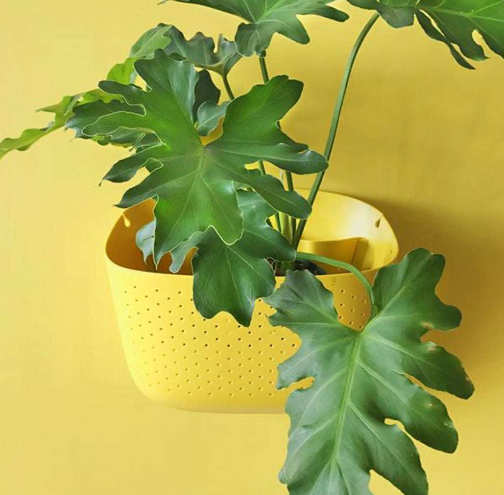 Wally Eco Planter
