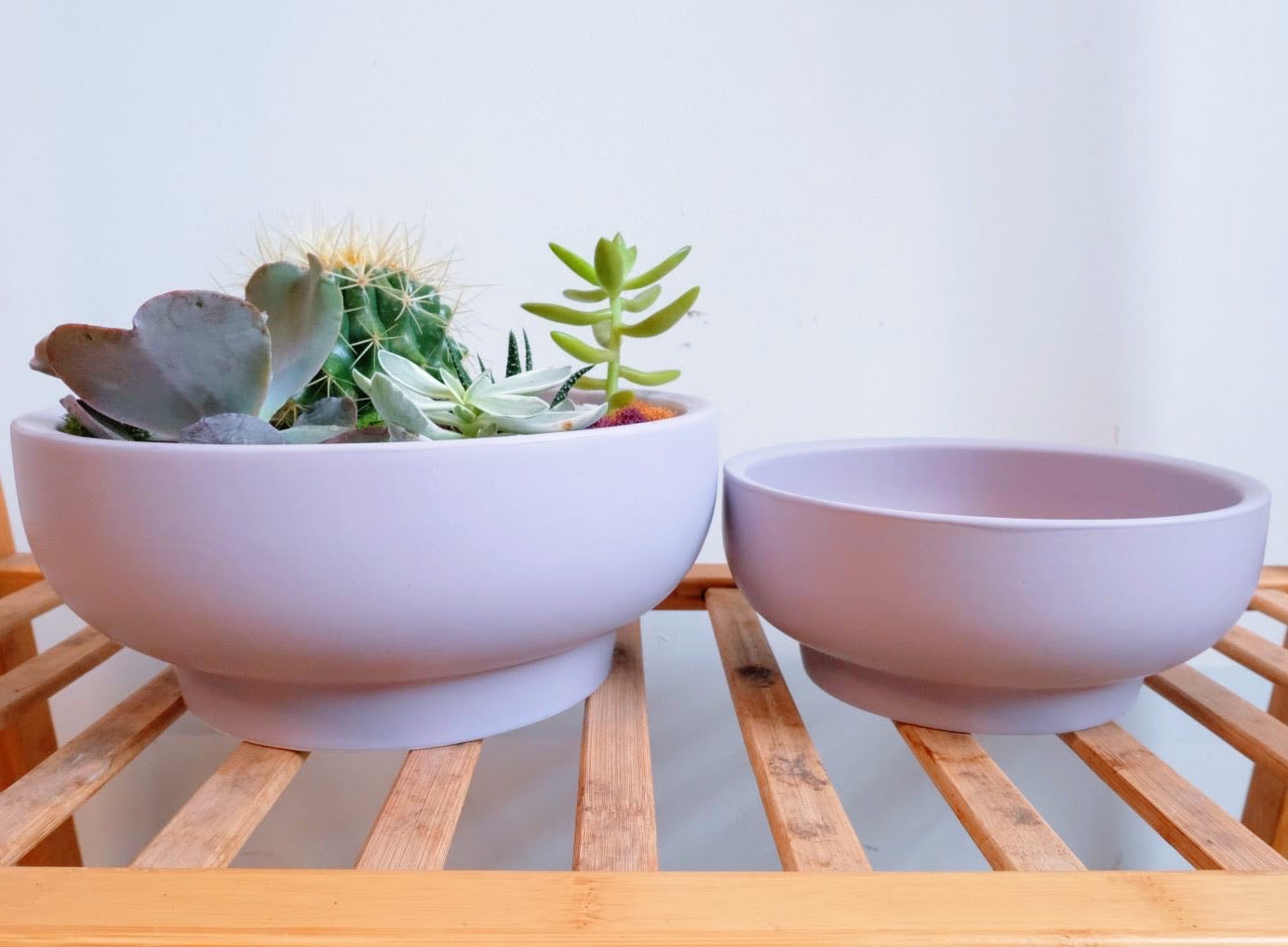 Custom Desert Garden