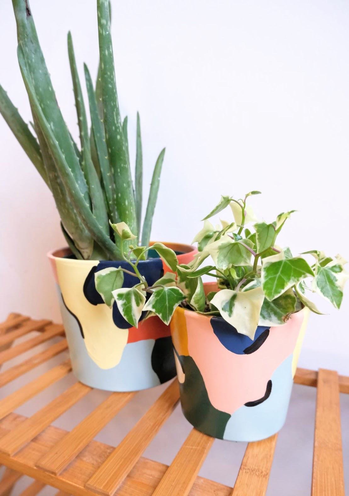 Pepper Palm Planter Collection