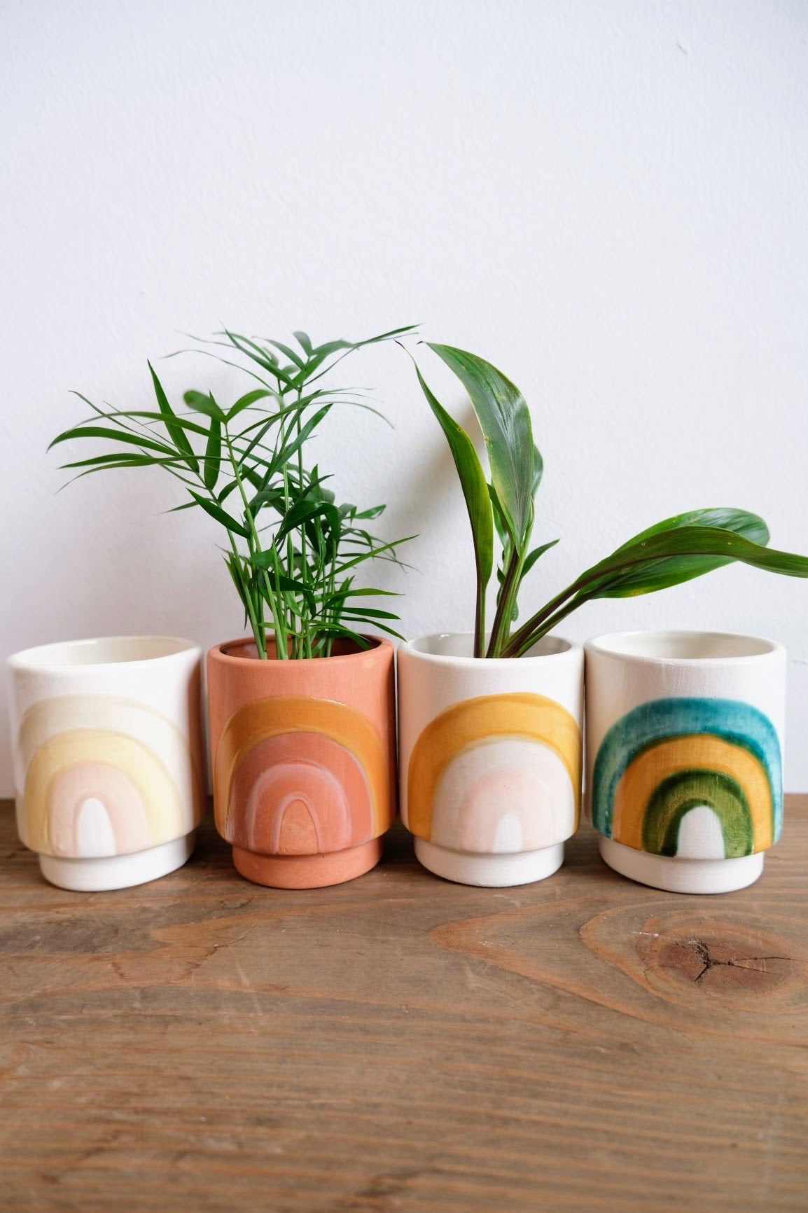 Rainbow Pot Collection by Luna Reece