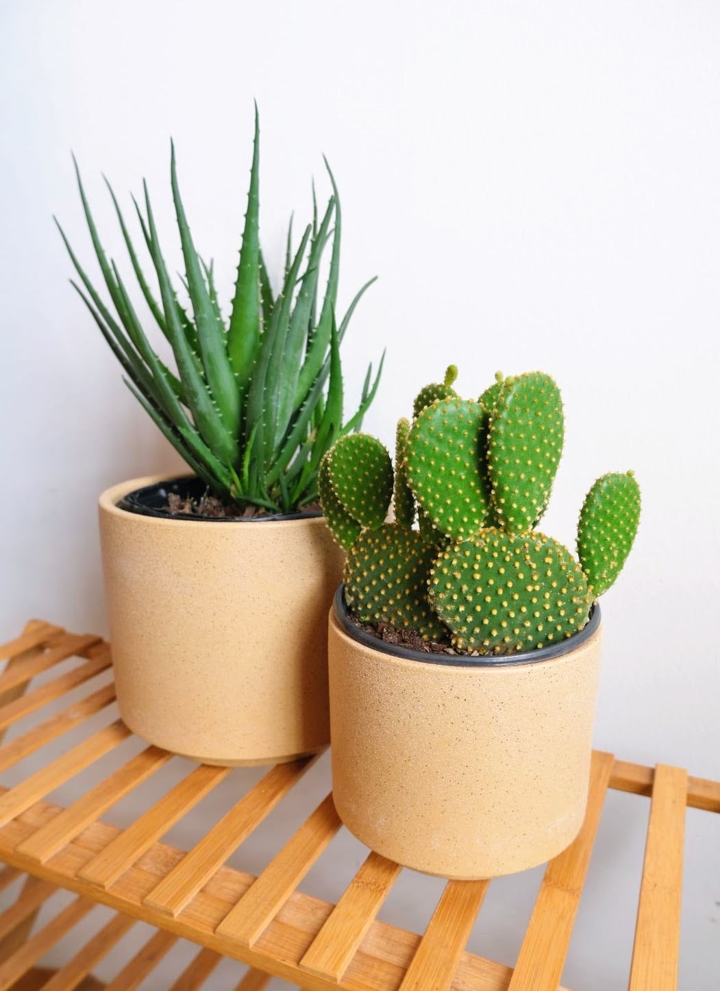 Calm Elevated Planters